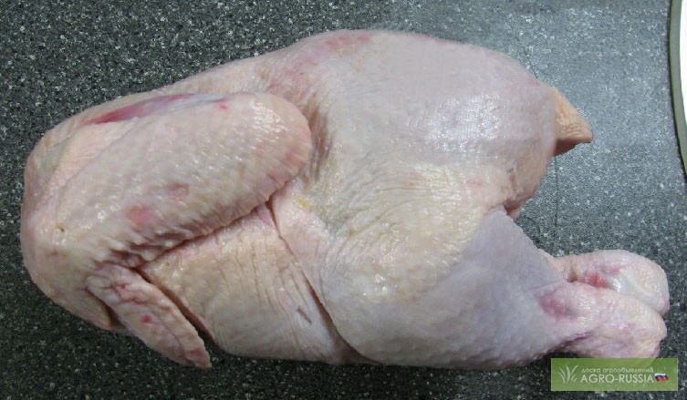 Фото 2. Курица оптом (цыпленок бройлер цб) с птицефабрики