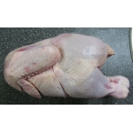 Курица оптом (цыпленок бройлер цб) с птицефабрики