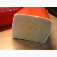 Сыр и Сырный продукт оптом с завода