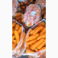 Морковь мытая напрямую от производителя