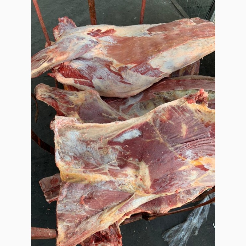 Фото 5. Продаю мясо говядины замороженное в четвертях
