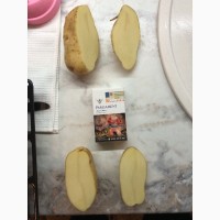 Продам картофель сорт Крепыш