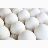 Продам Яйцо оптом красное, белое С-0, С-1, С-2, С-3, от 10 ящиков