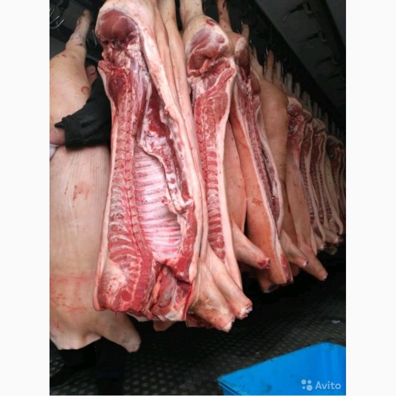 Фото 2. Мясо свинина микс 1/2 кат. оптом полутуши