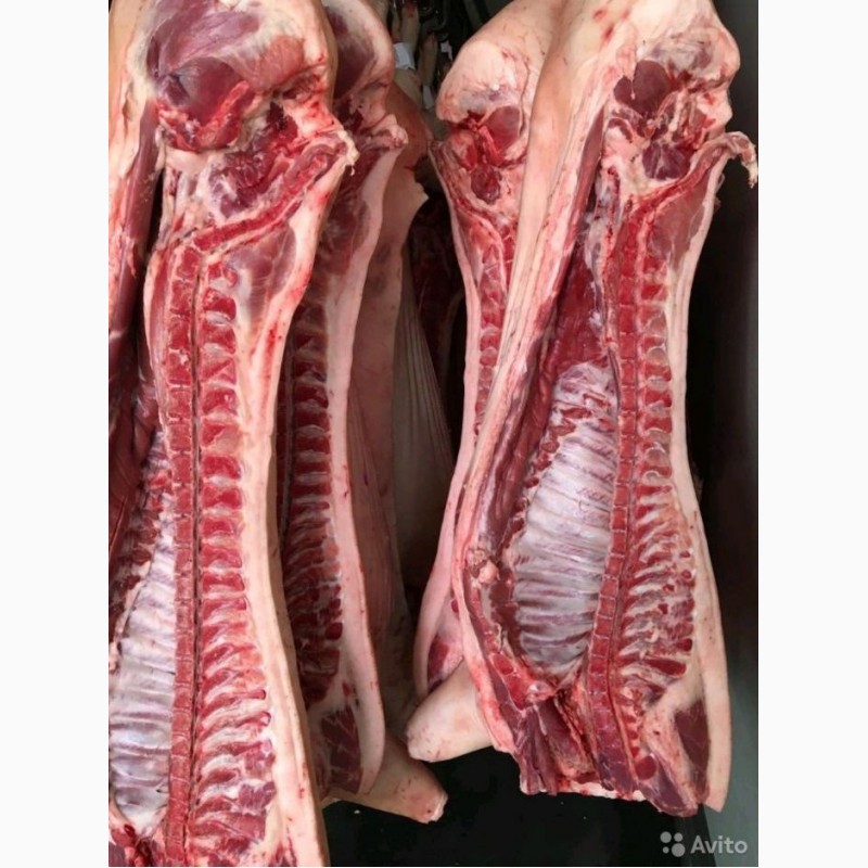 Фото 3. Мясо свинина микс 1/2 кат. оптом полутуши