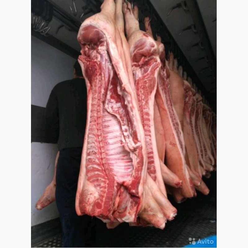 Фото 4. Мясо свинина микс 1/2 кат. оптом полутуши