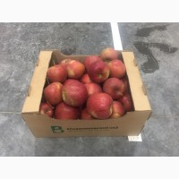Продам яблоки, разных сортов