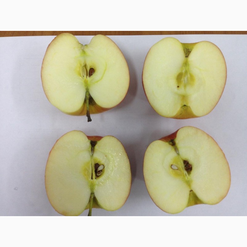Фото 3. Яблоки калиброванные, сетевого качества