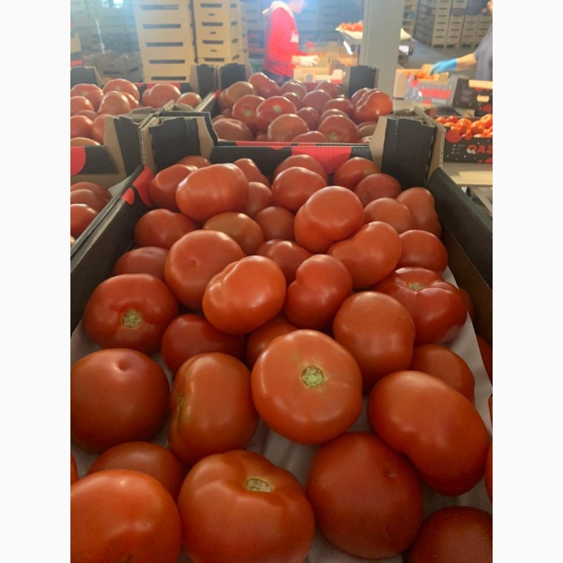 Фото 13. Продам томаты оптом