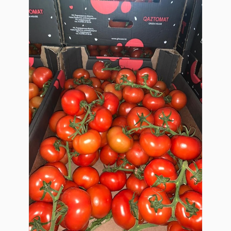Фото 4. Продам томаты оптом