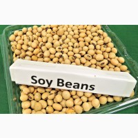 Продам Сою/ SoyBean / Протеин 38 - 43 min / Бразилия / Аргентина / США