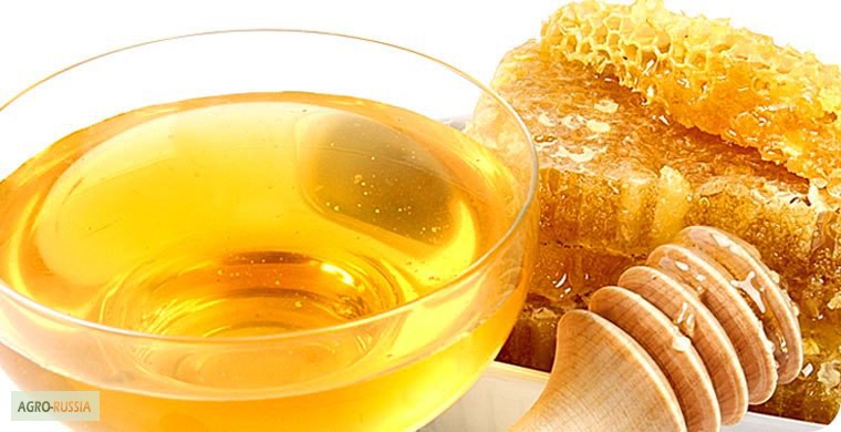 Алтайский мёд по доступным ценам во все регионы