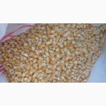 Зерно-смесь в мешках по 50 кг