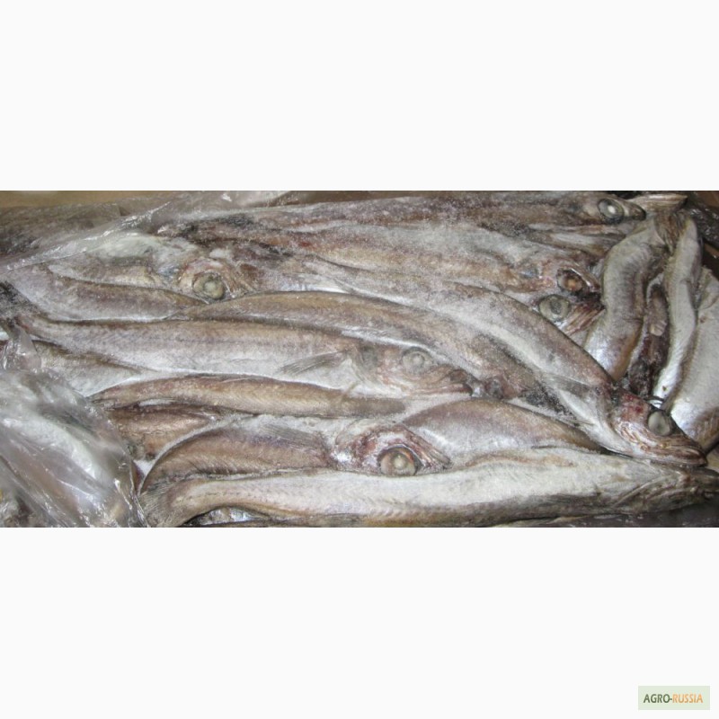 Фото 9. Рыба морская свежемороженая напрямую со склада/ от 78 р/кг