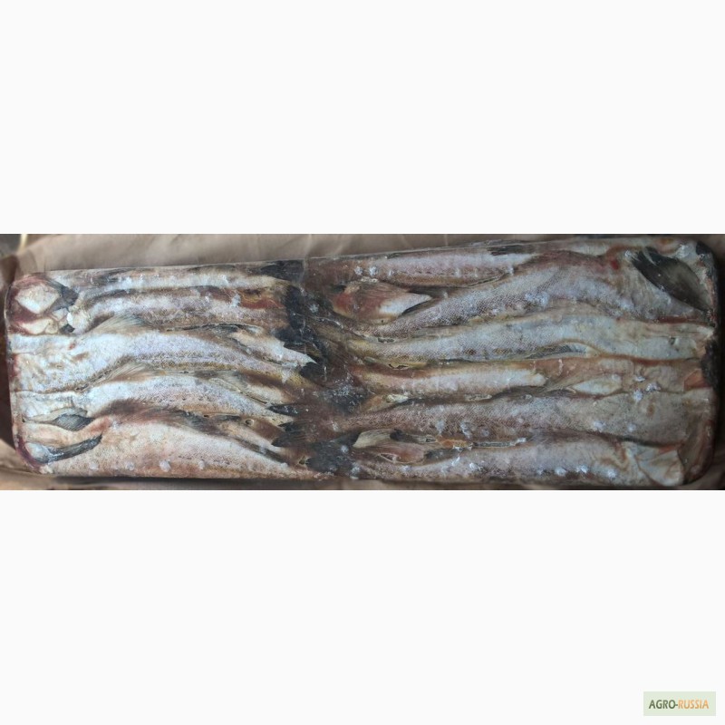 Фото 10. Рыба морская свежемороженая напрямую со склада/ от 78 р/кг