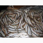 Рыба морская свежемороженая напрямую со склада/ от 78 р/кг