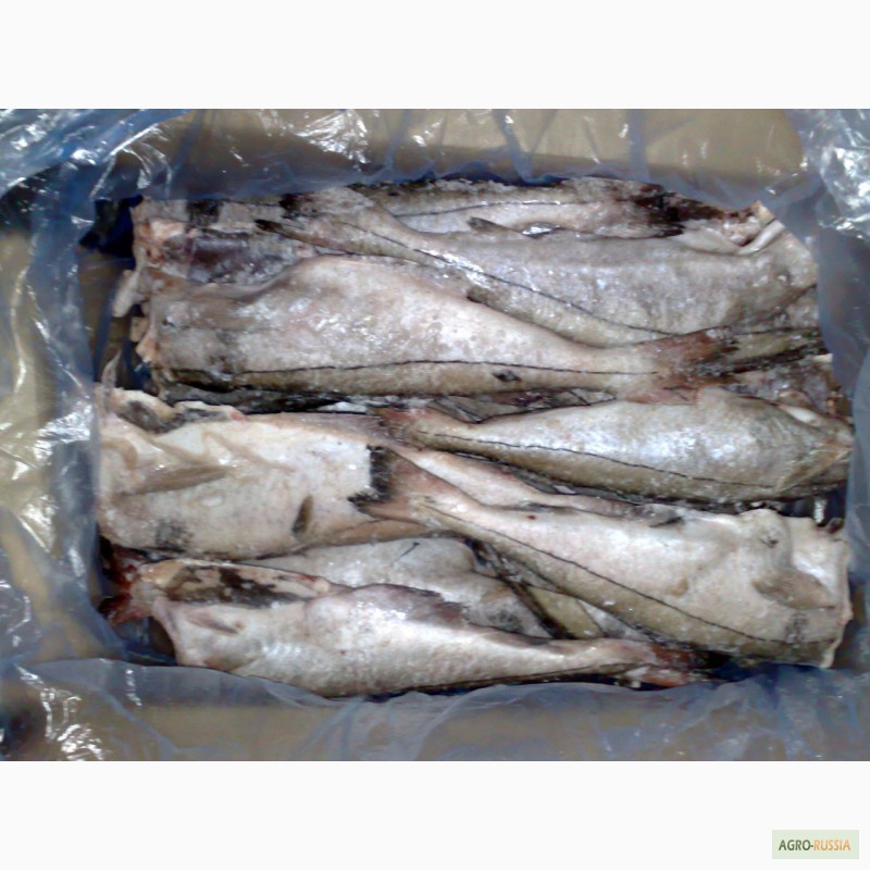 Фото 3. Рыба морская свежемороженая напрямую со склада/ от 78 р/кг