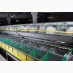Строительство кроликоферм и производство оборудования для промышленного кролиководства