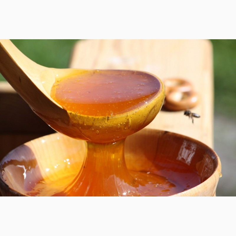 Фото 3. Свежий мёд: горное разнотравье, липа