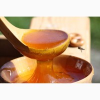 Свежий мёд: горное разнотравье, липа