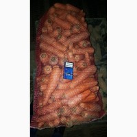 Продажа моркови