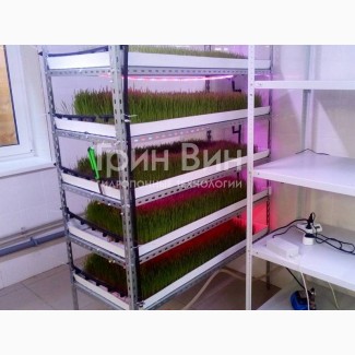 Гидропонная установка для выращивания зеленого корма