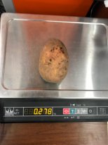 Фото 3. Крупный картофель от 270 гр. Вектор. Из Беларуси
