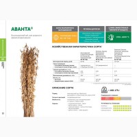 Семена сои: сорт АВАНТА селекции Компании Соевый комплекс