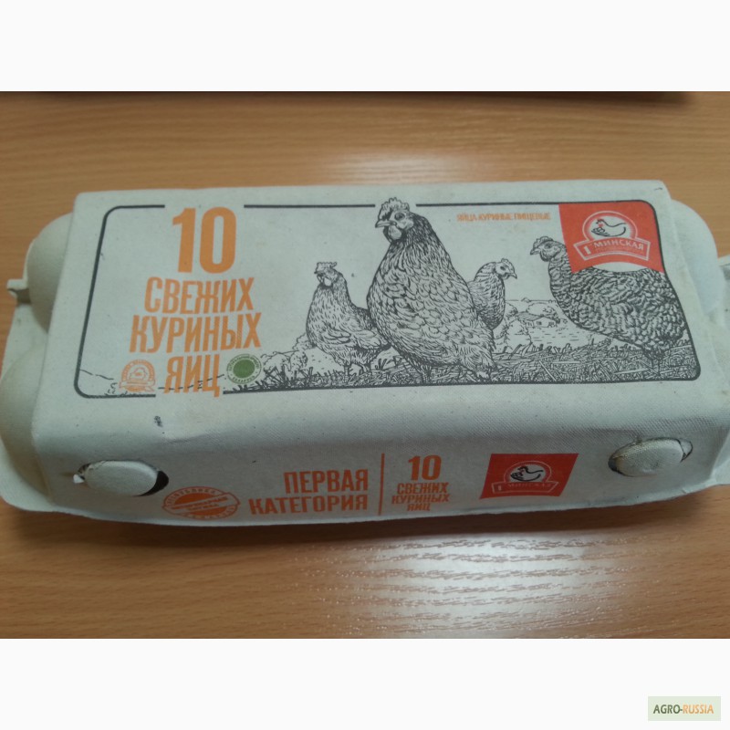 Фото 5. Продажа куриного яйца Беларусь