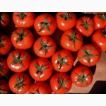 Предлагаем помидор-томат отличного качества
