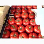 Предлагаем помидор-томат отличного качества
