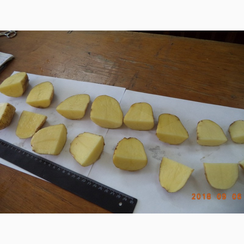 Фото 3. АО Вологодский картофель реализует продовольственный картофель