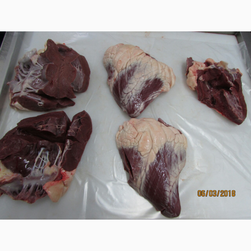 Фото 4. Сердце говяжье