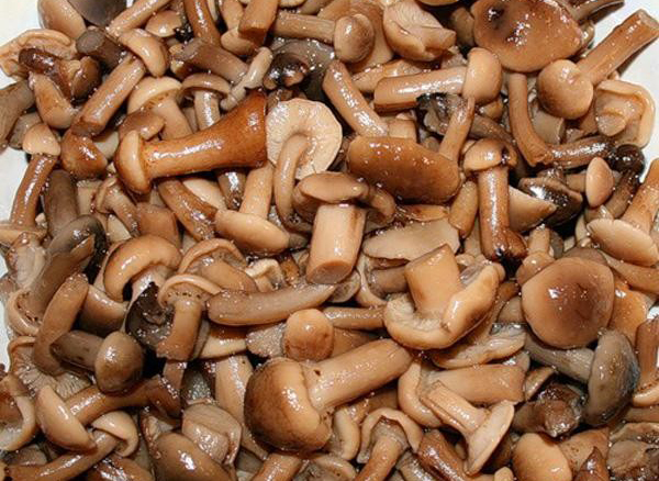 Фото 3. Продам солёные и маринованные грибы