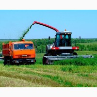 Услуги по уборке зерновых в Ростовской области