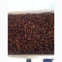 Сухофрукты и орехи оптом из Узбекистана