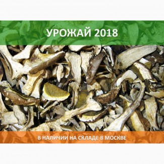 Сушеный белый гриб, 3 сорт, в наличии в Москве, Урожай 2018