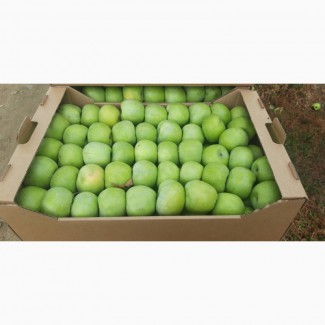 Продам Яблоко, сорт яблока Семеренко и Голден калибр 55