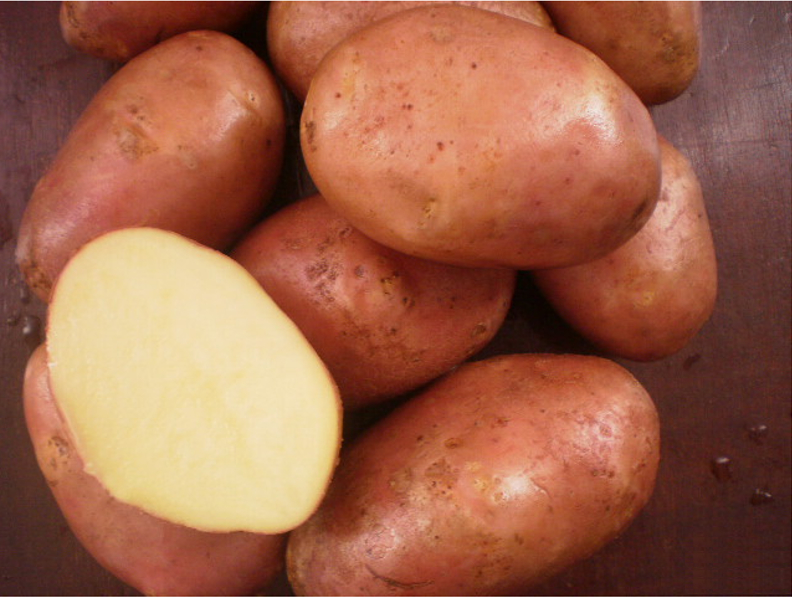 Дешево продам Картофель семенной и продовольственный сорта Ред Скарлетт и Гала