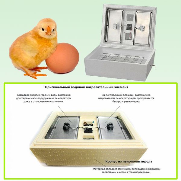 Бытовой электрический инкубатор для цыплят и гусят на 45 яиц Золушка 220/12