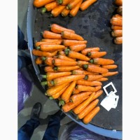 Морковь мытая: Сельвана, Каскад, Зафира