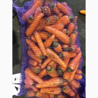 Морковь мытая: Сельвана, Каскад, Зафира