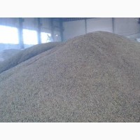 Зерно пшеницы продовольственной 3 класс оптом от п 16 500 ₽