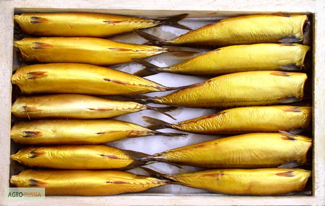 Фото 2. Рыба морская холодного копчения от производителя/ от 130 р/кг