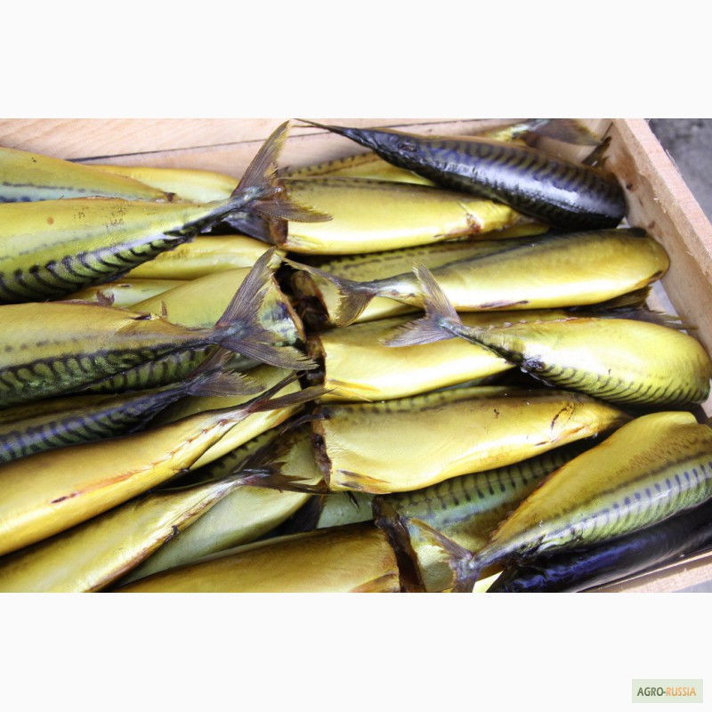 Фото 3. Рыба морская холодного копчения от производителя/ от 130 р/кг