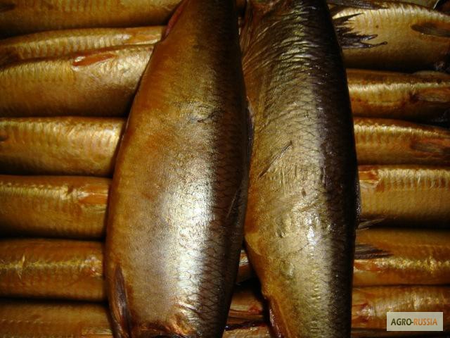 Фото 5. Рыба морская холодного копчения от производителя/ от 130 р/кг