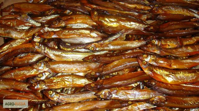 Фото 7. Рыба морская холодного копчения от производителя/ от 130 р/кг