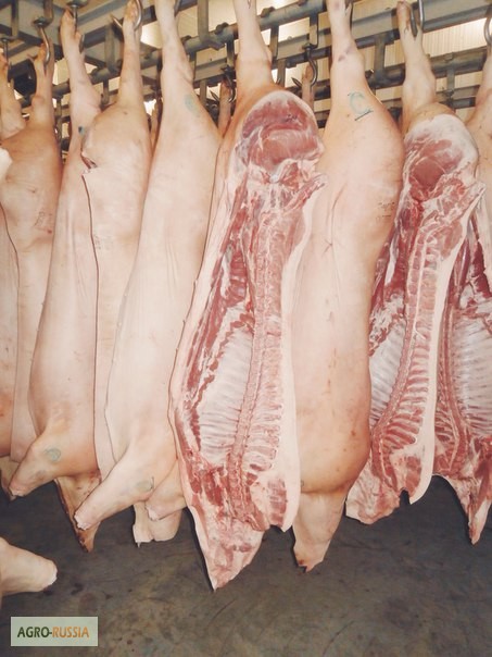 Фото 2. Свинина в полутушах 1-й и 2-й категорий, субпродукты, головы свиные ограбленные