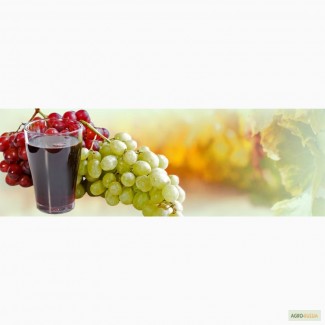 Концентрированный сок белого, красного винограда 65 % оптом