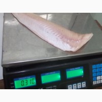 Предлагаю замороженную рыбу хек, филе (Аргентина)